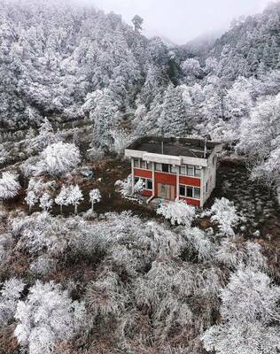 寒流下追雪的體認